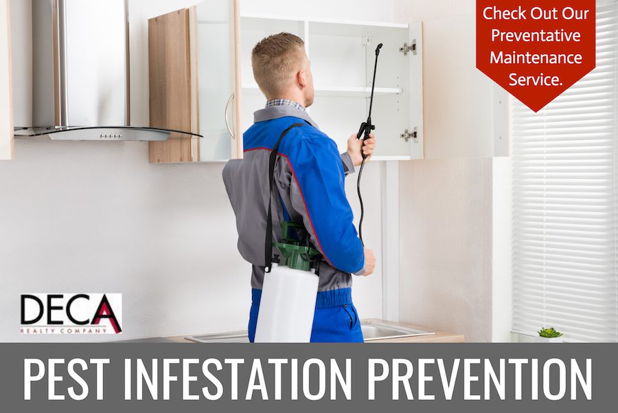 Pest Infestation And Preventative Maintenance