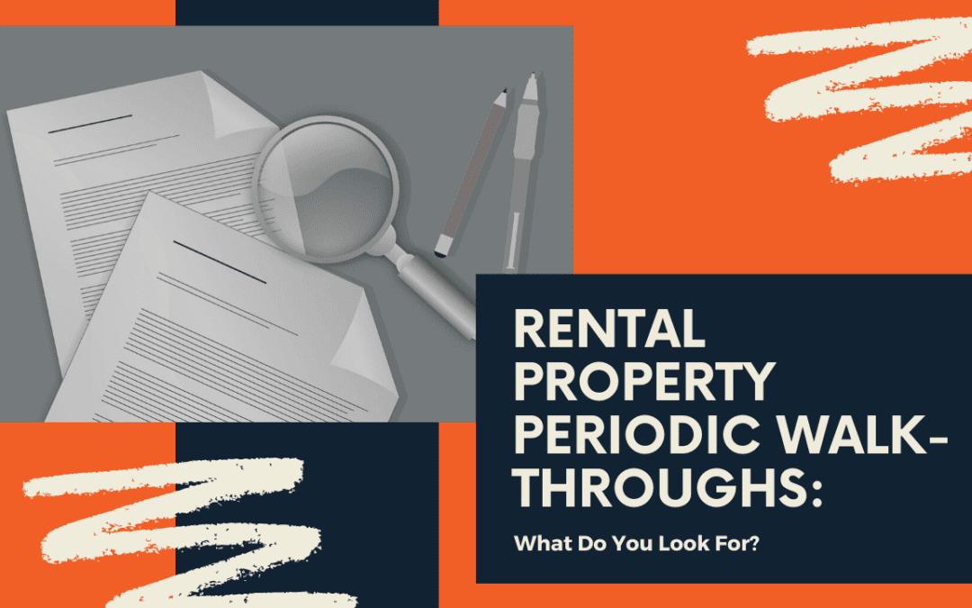 Rental Property Periodic Walk-throughs: What Do You Look For?